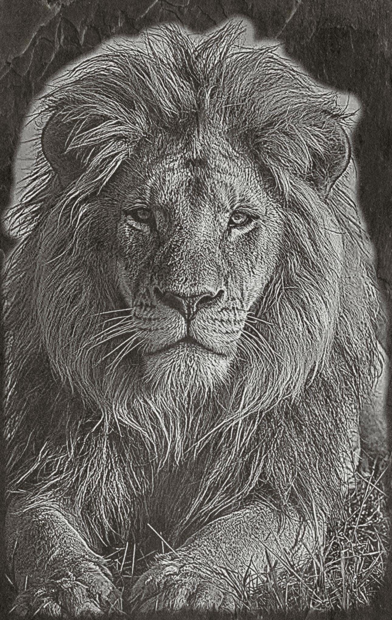 Lion Family PNG Set – 5 Images | Lion, Lioness & Cubs | Wildlife Laser Engraving | Digital Download