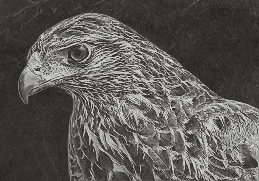 The Common Buzzard pendant in gold matte finish by MokshaGoldSculptures.