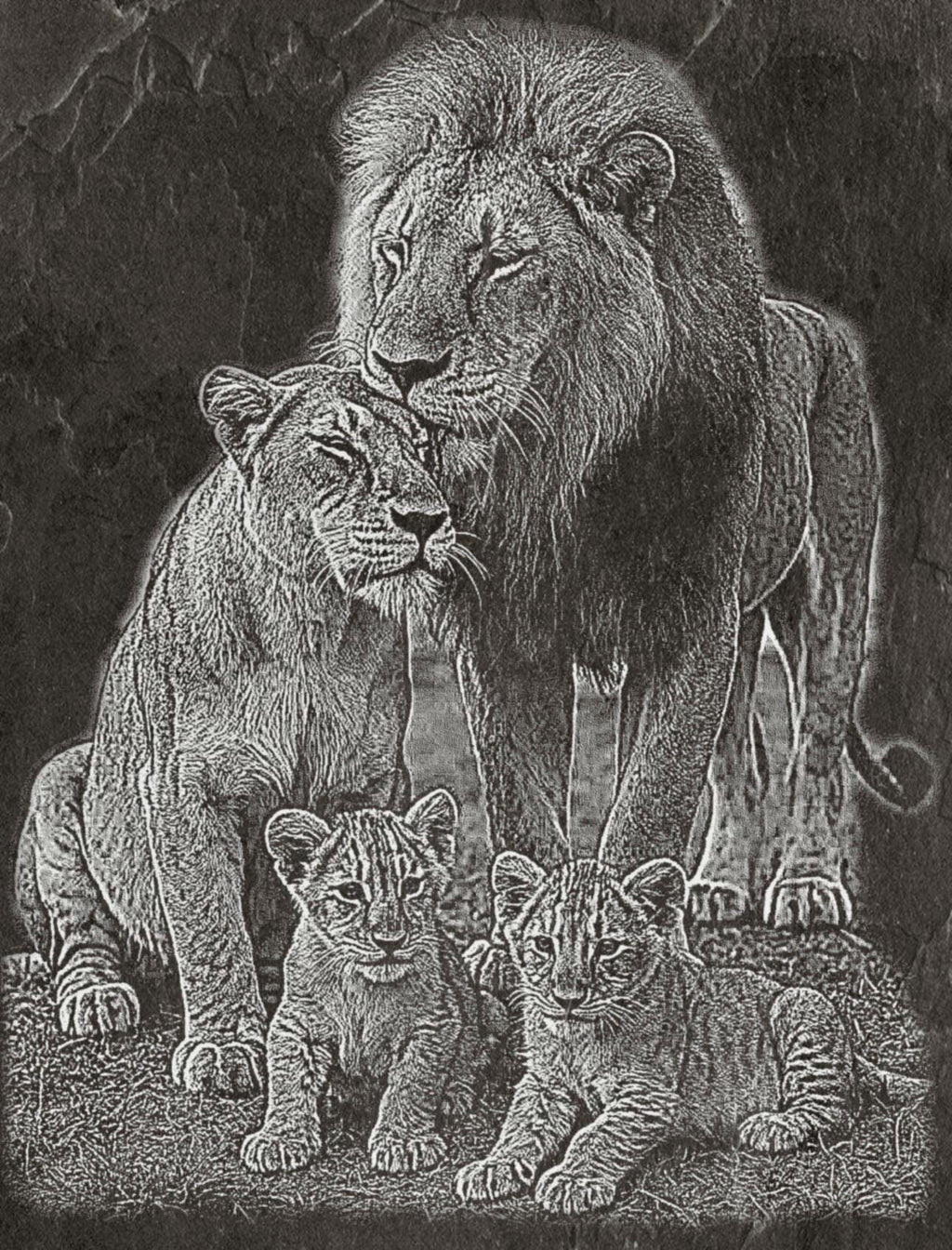 Lion Family PNG Set – 5 Images | Lion, Lioness & Cubs | Wildlife Laser Engraving | Digital Download