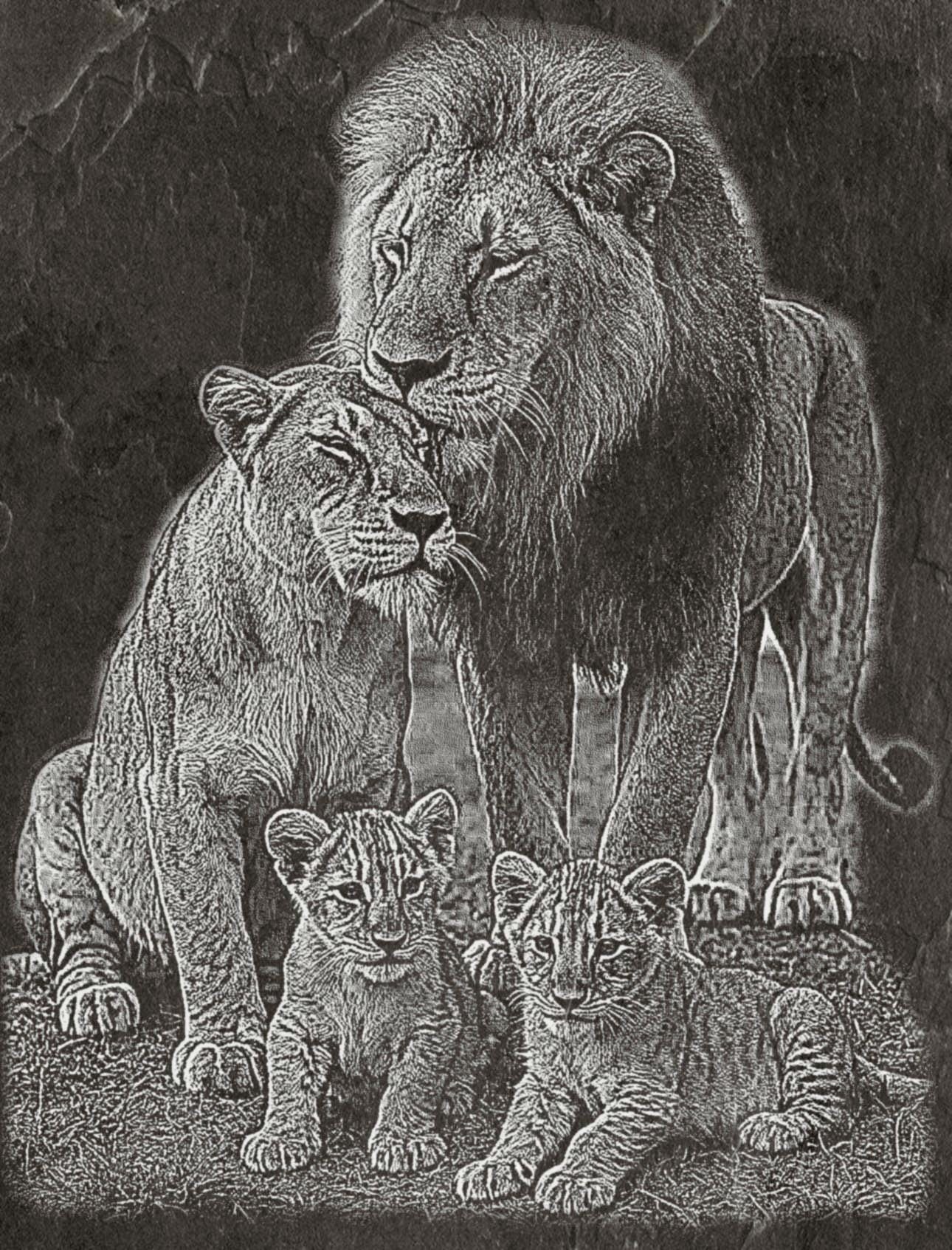 Lion Family PNG Set – 5 Images | Lion, Lioness & Cubs | Wildlife Laser Engraving | Digital Download