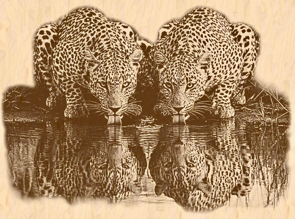 Leopard PNG Set – 5 Files | African Safari Wildlife | Laser Engraving Digital Download