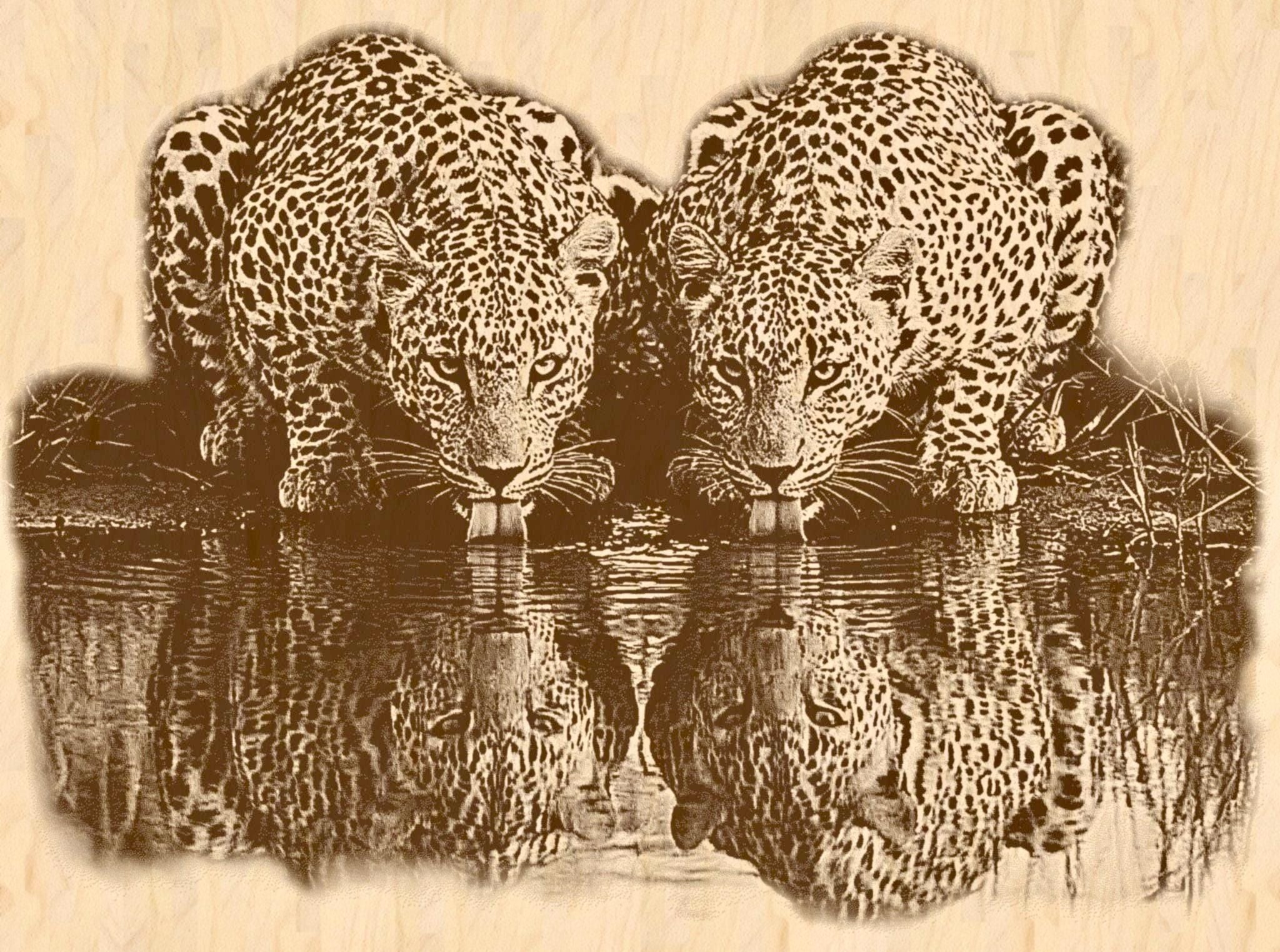 Leopard PNG Set – 5 Files | African Safari Wildlife | Laser Engraving Digital Download