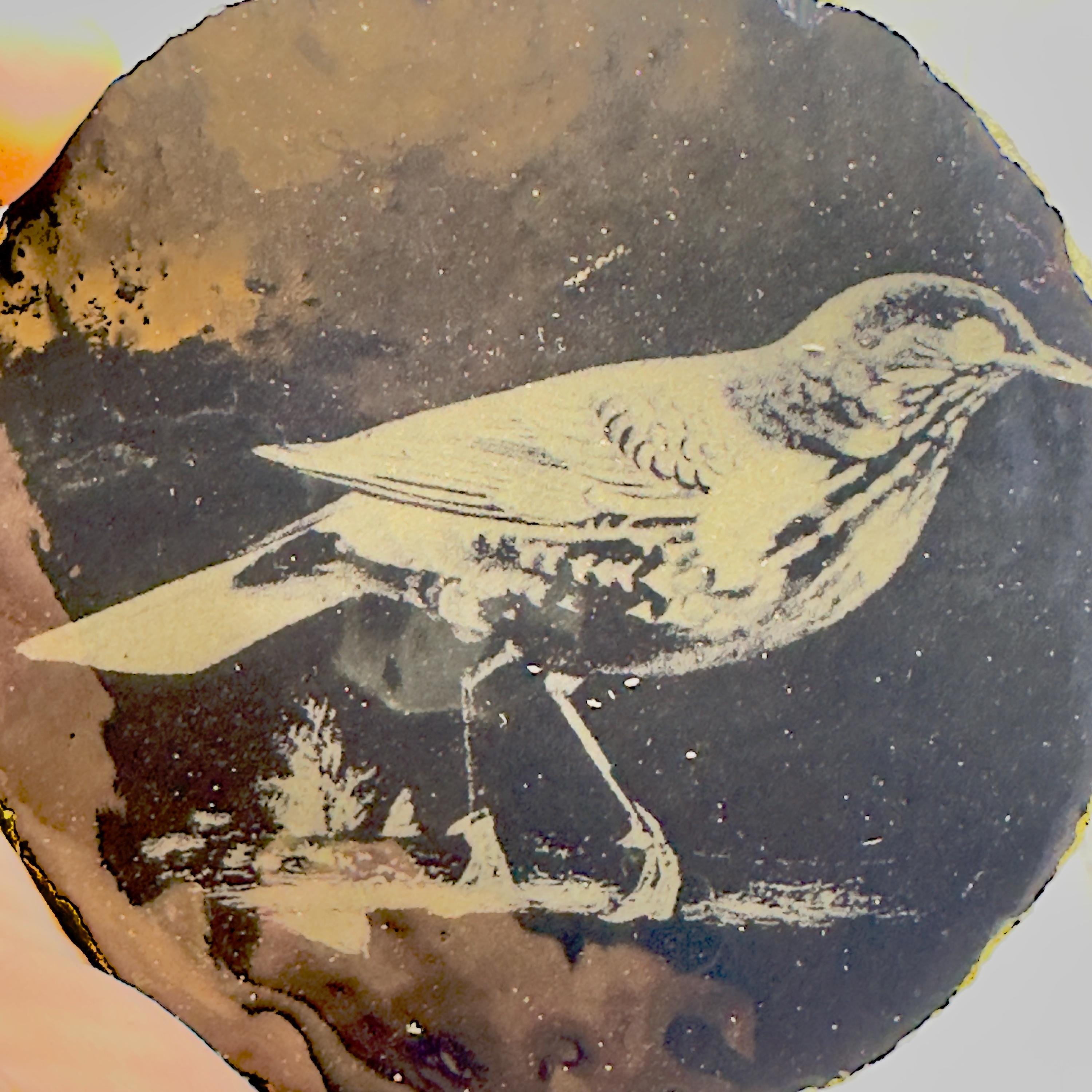 Starling Bird Slate Coaster | Handmade Engraved Wildlife Coaster | British Bird Gift | Nature Lover Home Decor