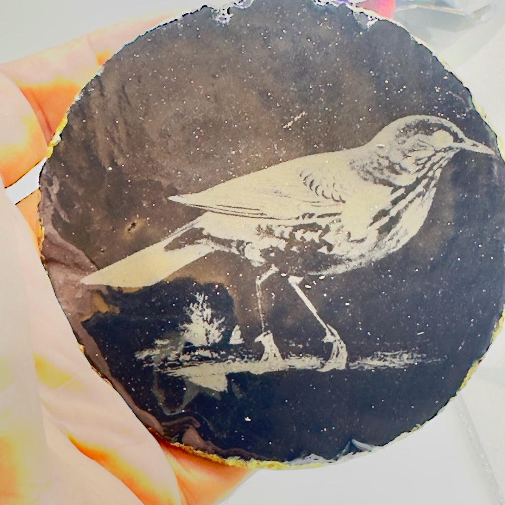 Starling Bird Slate Coaster | Handmade Engraved Wildlife Coaster | British Bird Gift | Nature Lover Home Decor
