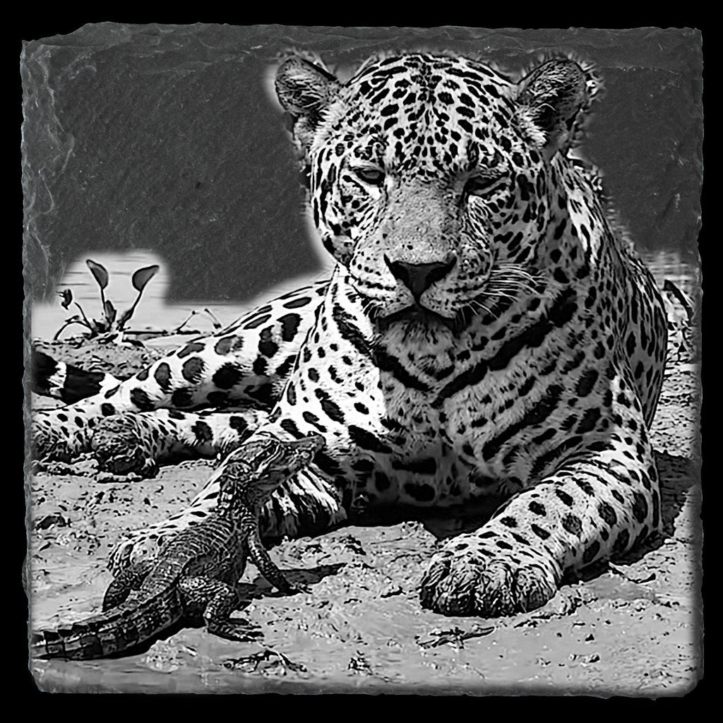 Leopard & Baby Crocodile PNG | Waterhole Scene | African Safari Wildlife | Laser Engraving Digital Download
