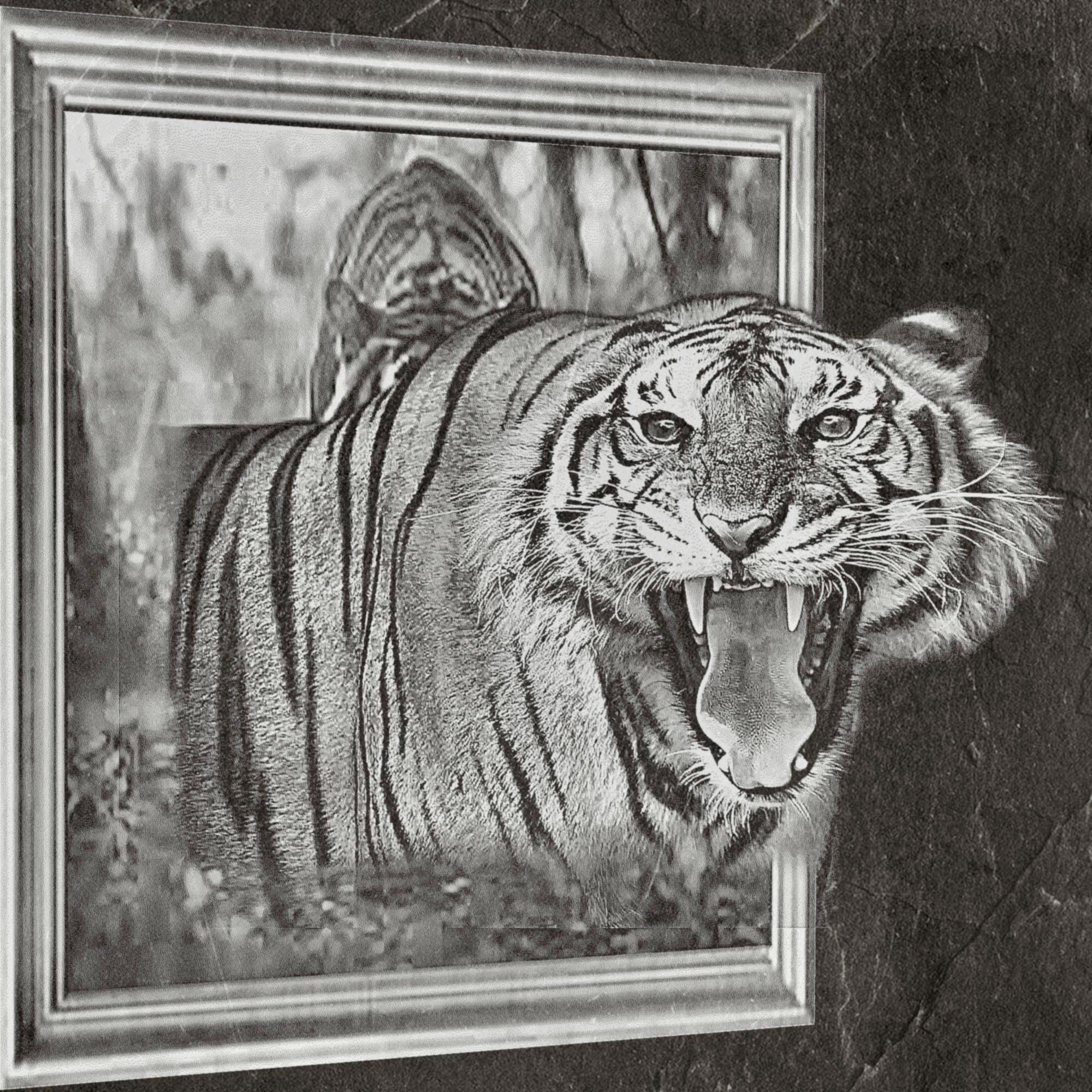 Lions & Tigers 3D Effect PNG Bundle – Angry Beasts Jumping from Frame | 6 Files ZIP Digital download