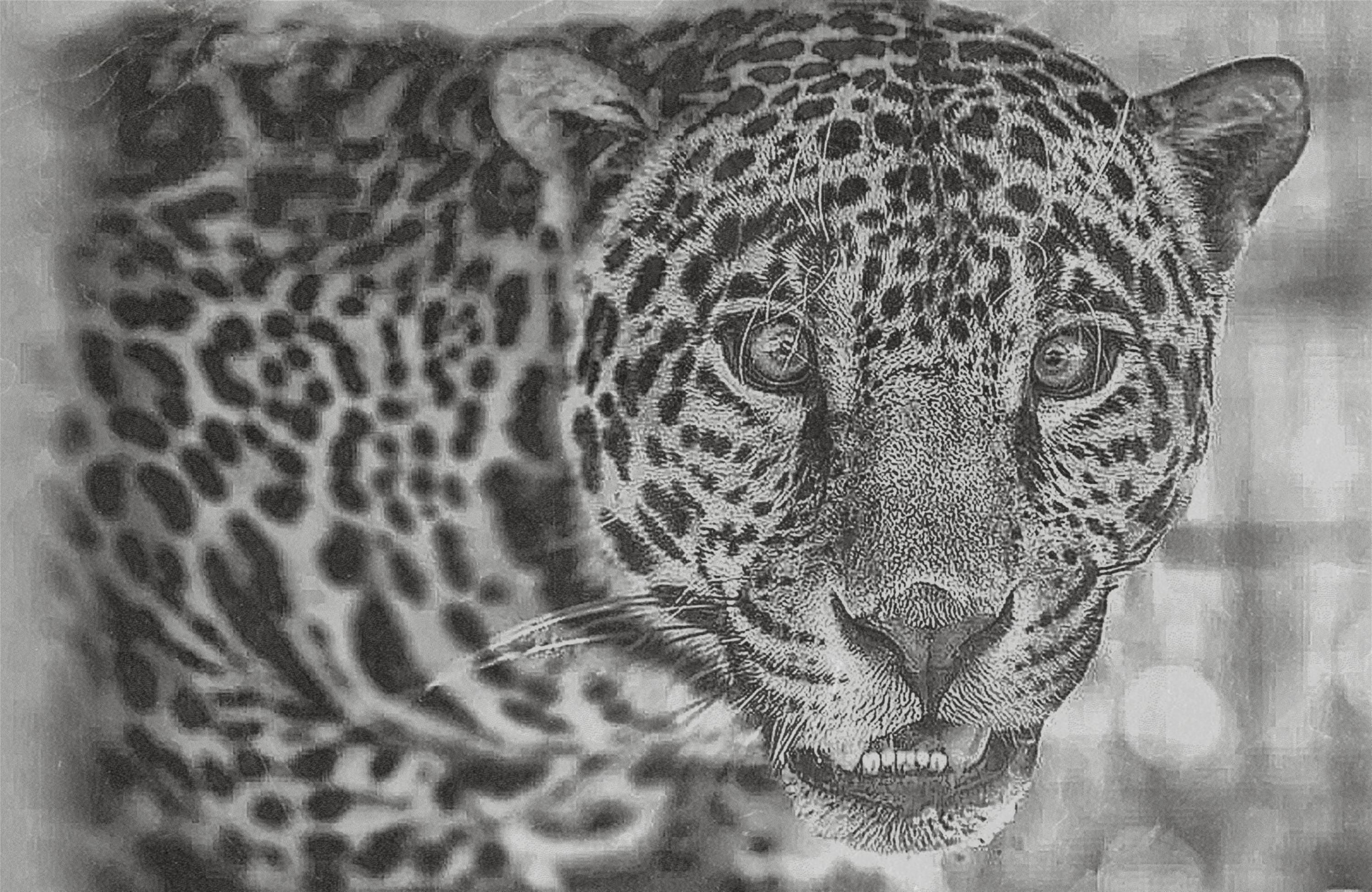 Jaguar PNG Bundle for laser engraving – 6 Wildlife Images | Big Cat Digital Download ZIP