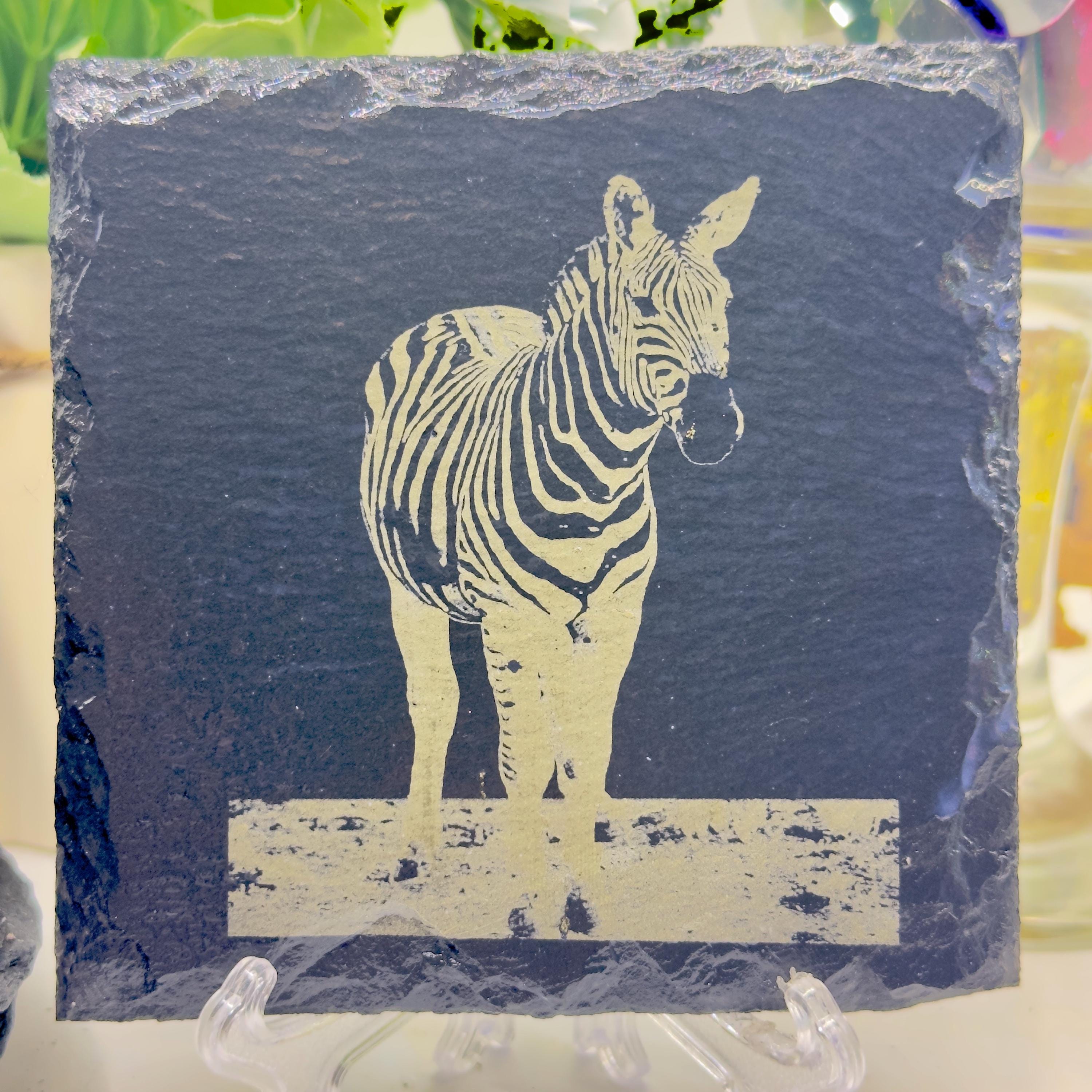 Zebra Slate Coaster | African Wildlife Art | Engraved Zebra Coaster | Safari Animal Gift | Natural Slate Coaster