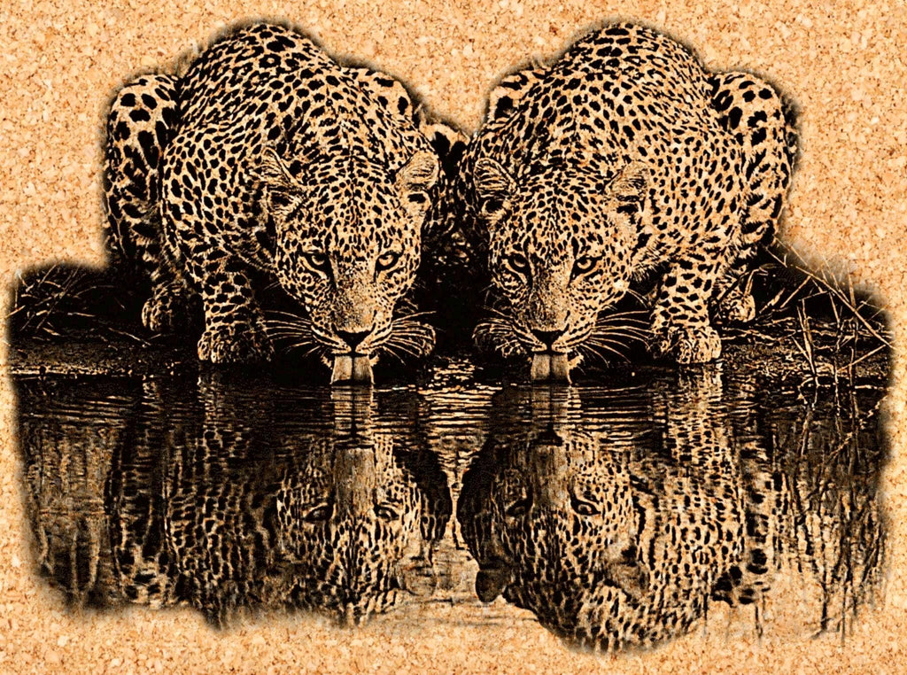 Leopard PNG Set – 5 Files | African Safari Wildlife | Laser Engraving Digital Download