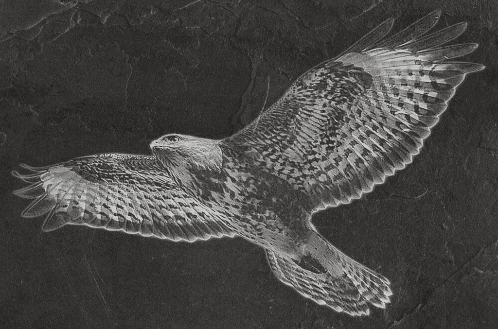 The Common Buzzard pendant in sterling silver matte finish by MokshaGoldSculptures.