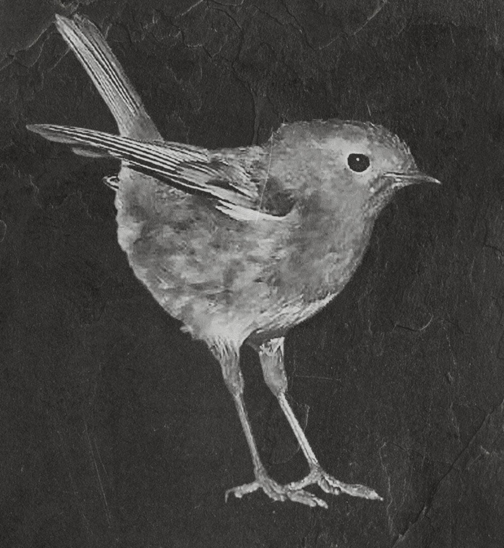 Robin PNG Bundle | European Robin Wildlife Art | 17 PNG Files – 2 ZIP Downloads laser engraving light burn