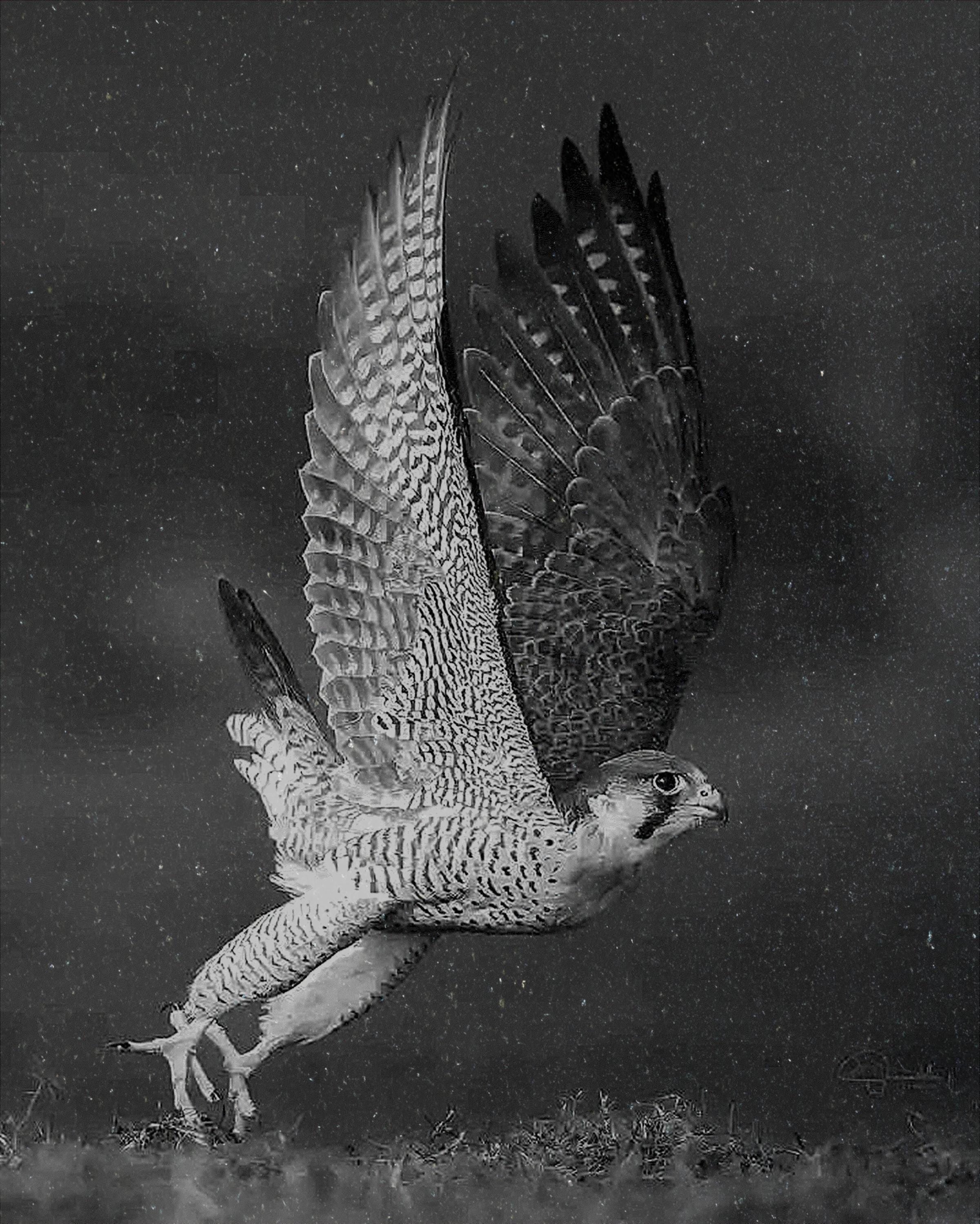 Peregrine Falcon PNG Bundle – Perched, Flying & Nesting with Chicks | 10 Files in 2 ZIPs