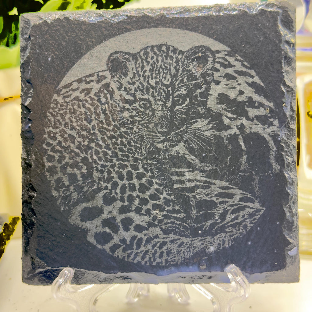Leopard Slate Coaster | Wildlife Animal Coaster | Leopard in River Design | Handmade Natural Stone Gift