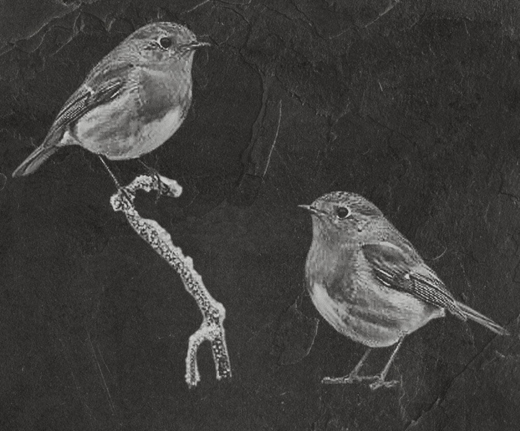 Robin PNG Bundle | European Robin Wildlife Art | 17 PNG Files – 2 ZIP Downloads laser engraving light burn