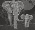 Elephant in Savannah PNG Bundle | African Elephant Wildlife Art | 14 PNG Files – 2 ZIP Downloads