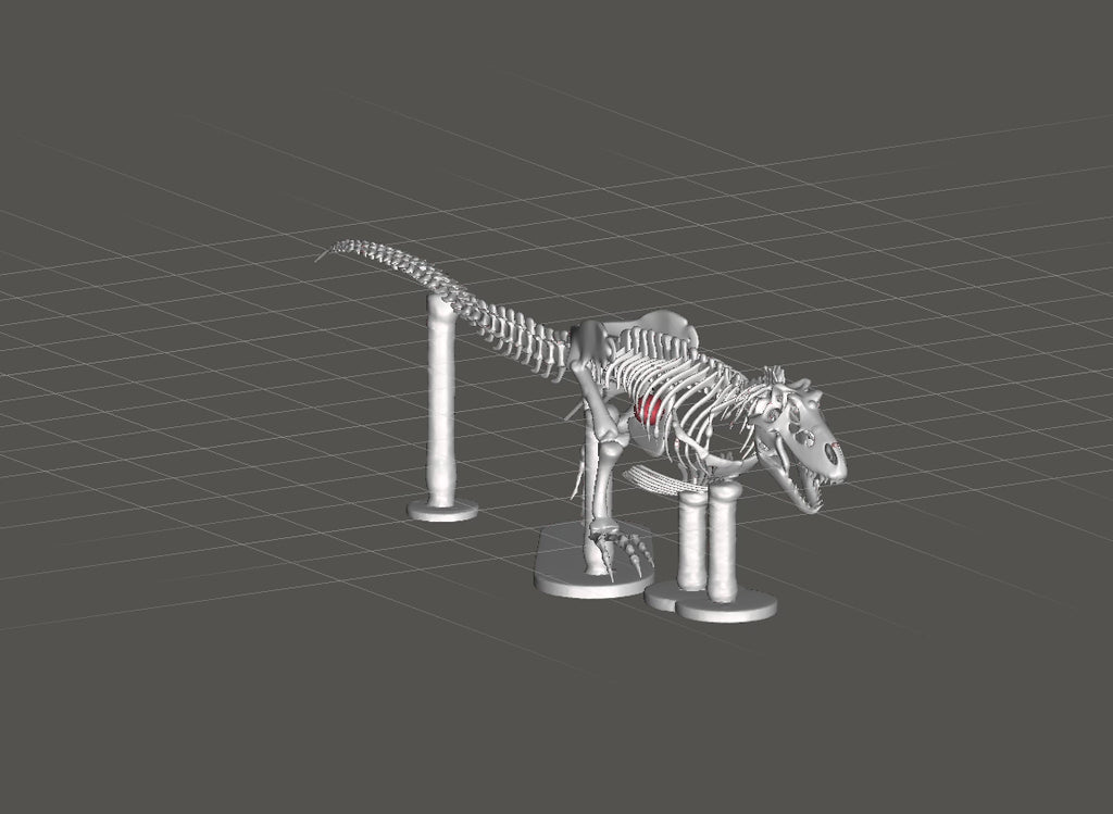 T Rex Skeleton 3D Print with Stand | Dinosaur Fossil Model