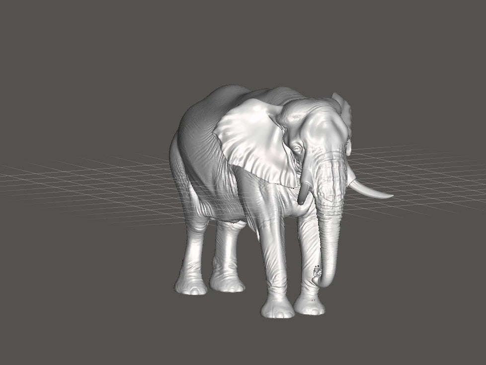 Elephant Sculpture 3D Print | Wildlife Decor Model | Large Display Animal | Gold Grey PLA | 250mm Elephant Figurine Gift