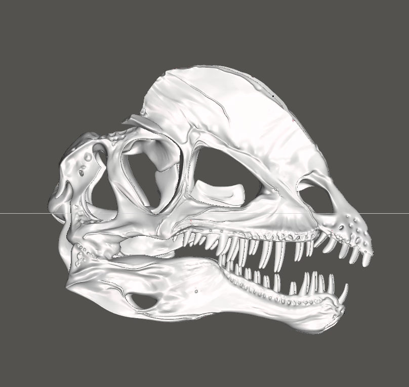 Dilophosaurus Skull 3D Print | Dinosaur Fossil Replica
