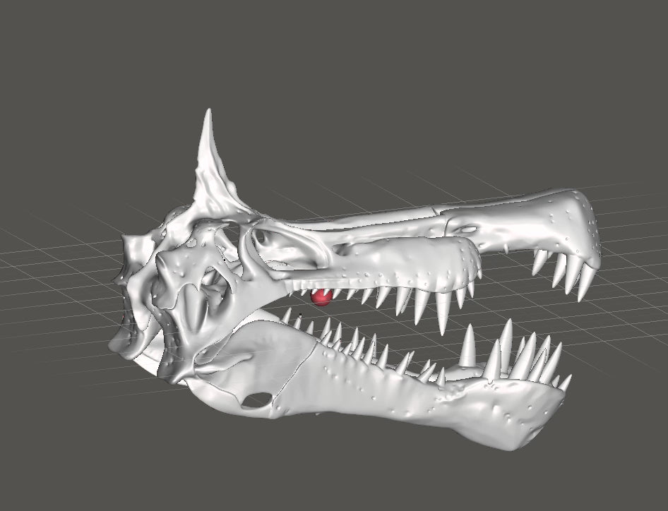 Spinosaurus Skull 250mm | 3D Printed Dinosaur Skull Replica | Collectible Prehistoric Sculpture