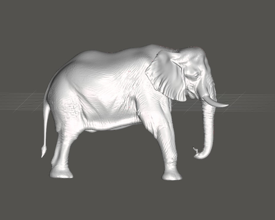 Elephant Wall Mount 3D Print | Wildlife Wall Decor | PLA Grey Sculpture | Large Animal Wall Art | 250mm Elephant Relief