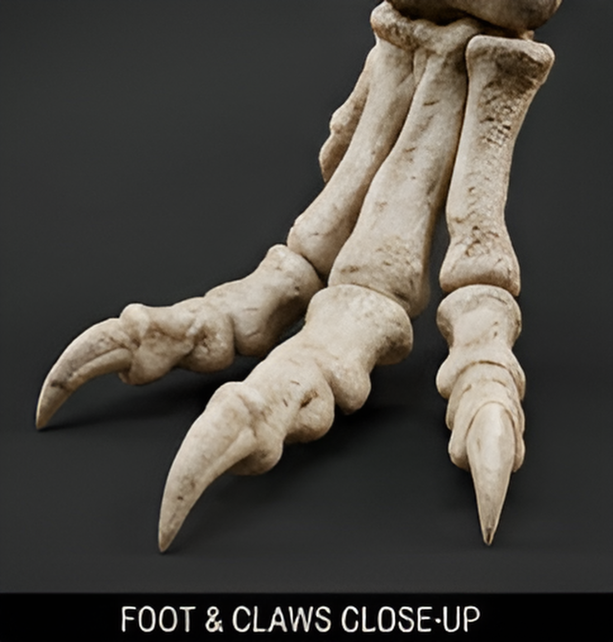 T Rex Skeleton foot pendant in pale metal finish by MokshaGoldSculptures.