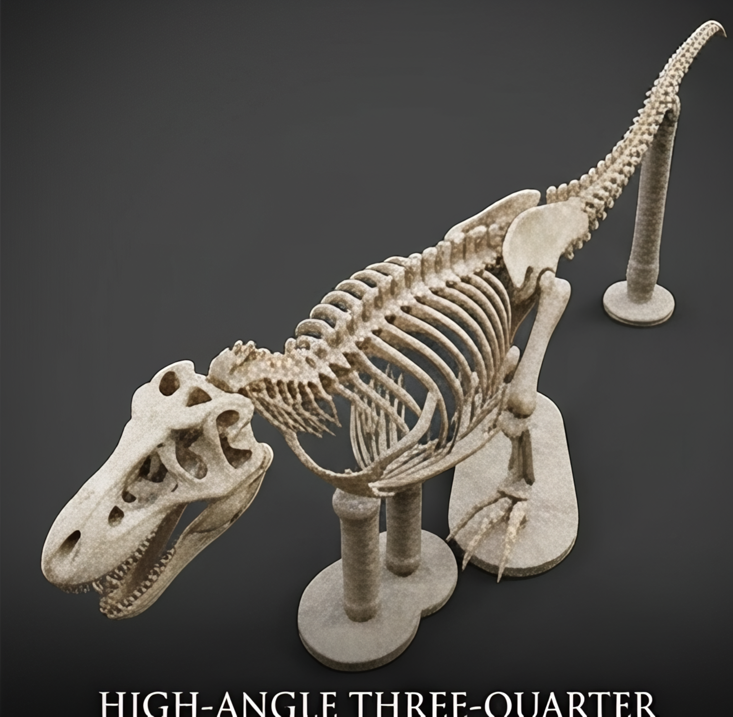 T Rex Skeleton 3D Print with Stand in gold-tone finish by MokshaGoldSculptures, high-angle display view.